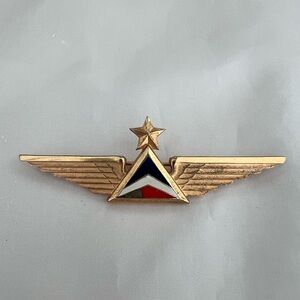 Delta Airlines First Officer Pin/Brooch..Vintage. COLLECTIBLE ITEM ⭐️